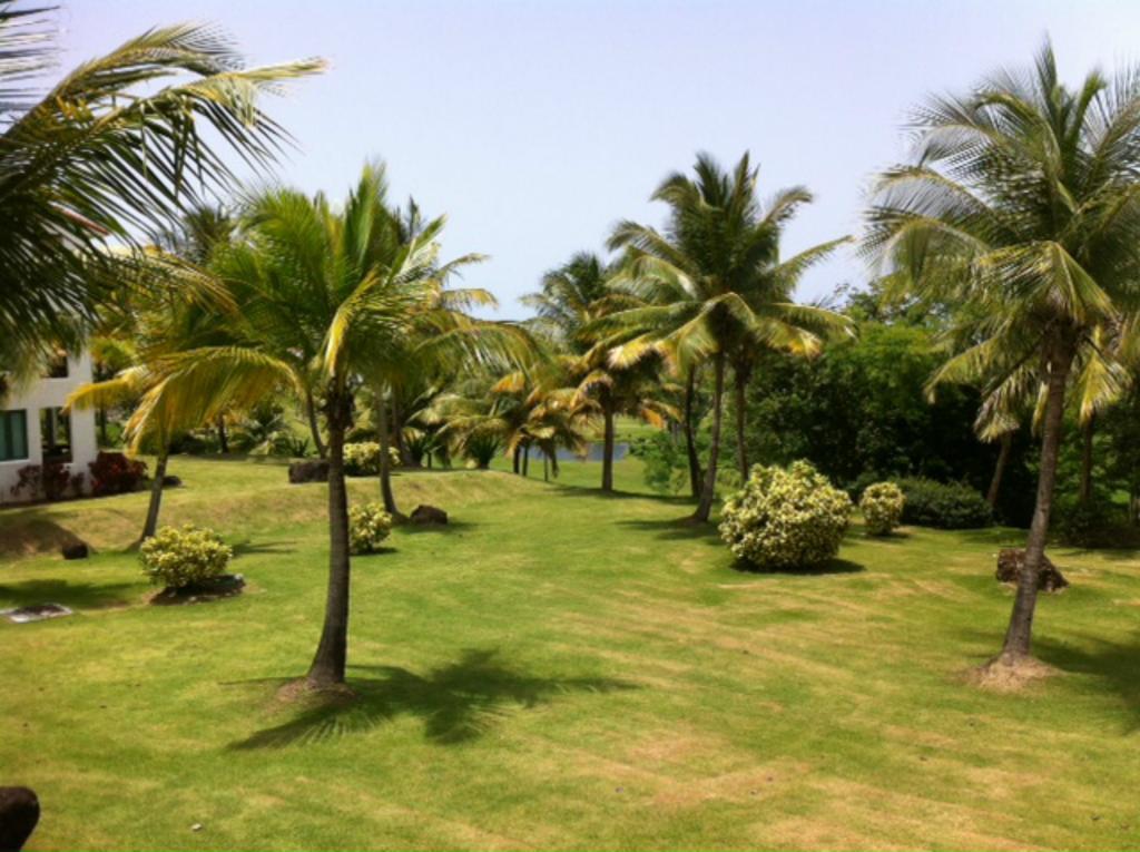 Rio Mar Village - Golf Course View ريو غراندي المظهر الخارجي الصورة